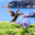 Thumbnail for picture 12