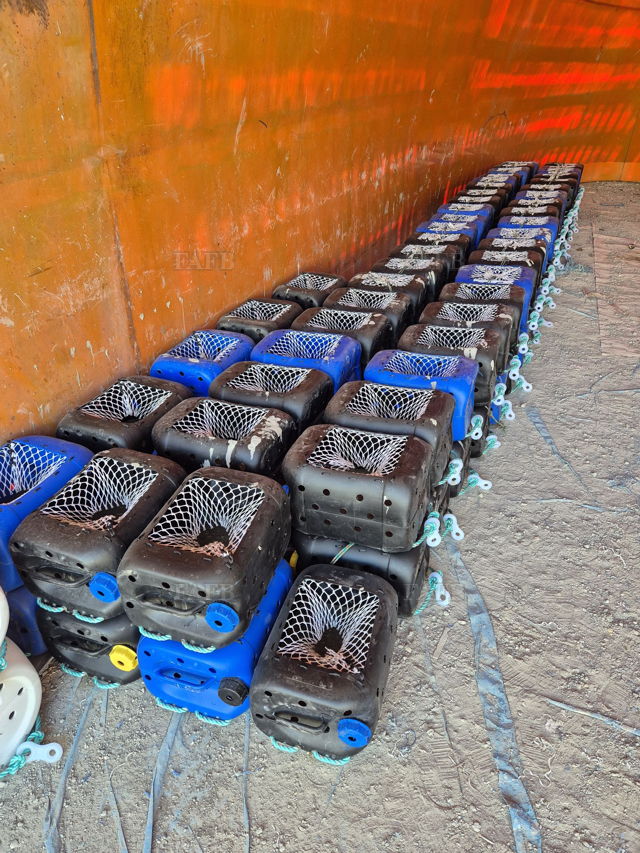 Large picture for advert 140729