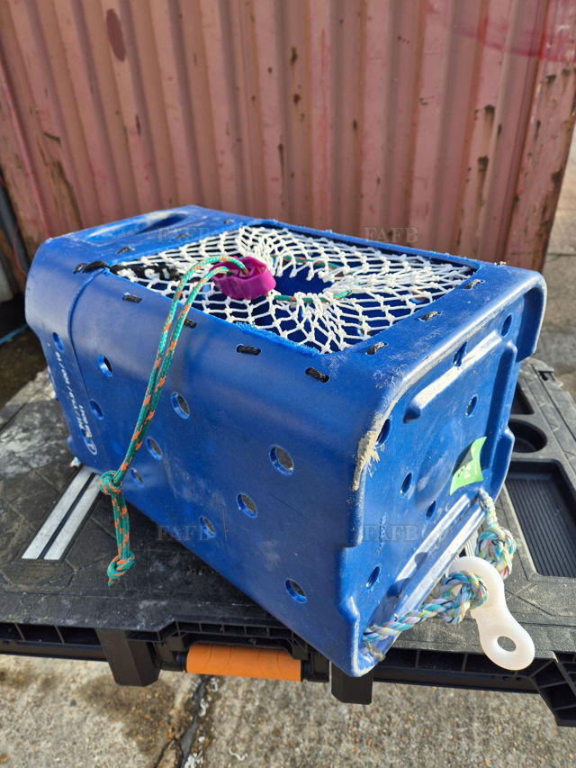 Large picture for advert 140729