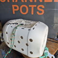 Thumbnail for picture 8