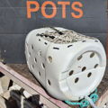 Thumbnail for picture 10