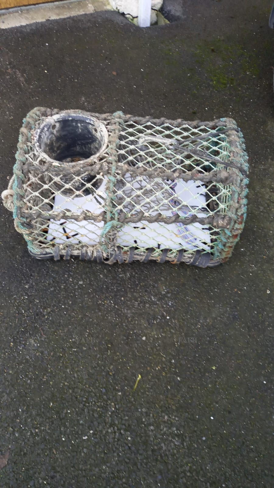 Steel pots