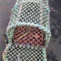 Thumbnail for picture 2