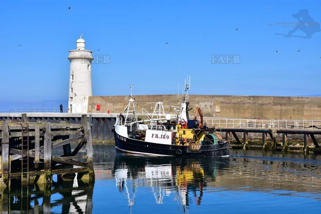 Large picture for advert 122731