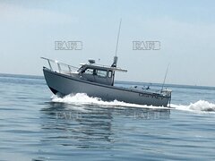 Osprey Fisherman 26 - DAISY JANE - ID:123732