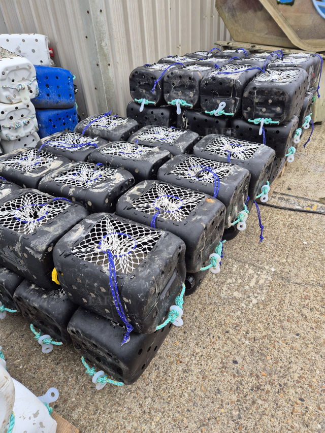 Large picture for advert 144735