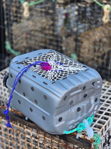 20ltr lay down whelk pots