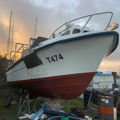 Extra picture for advert 148735