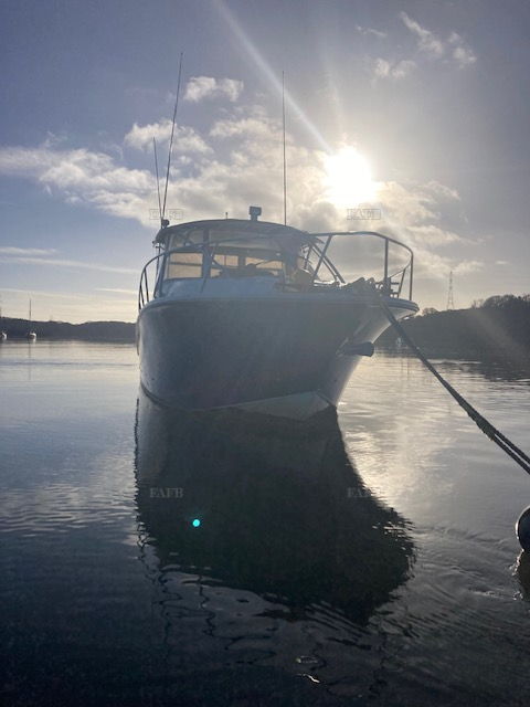 Large picture for advert 144737