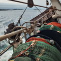 Thumbnail for picture 8
