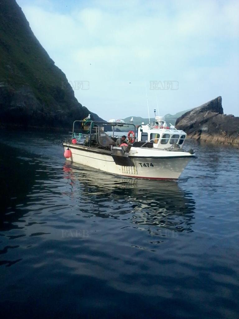 Large picture for advert 120739