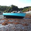 Thumbnail for picture 9