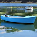 Thumbnail for picture 4
