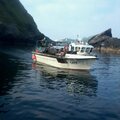 Extra picture for advert 120739