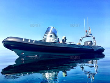 Experienced Scallop Diver