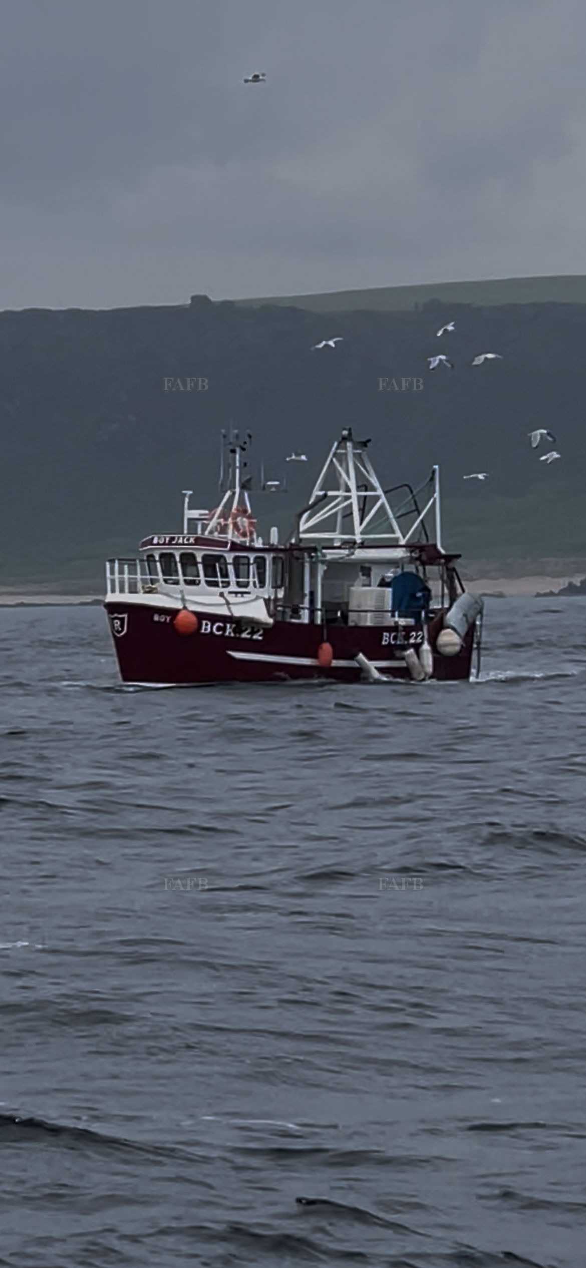 Large picture for advert 133741