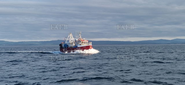 Large picture for advert 133741