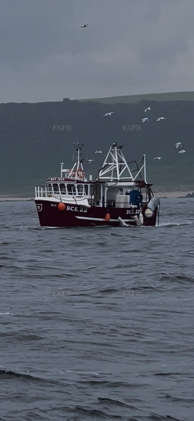 Large picture for advert 133741