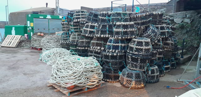 Large picture for advert 144741