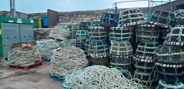 Large picture for advert 144741