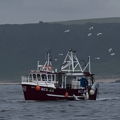 Extra picture for advert 133741