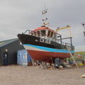 Thumbnail for picture 5