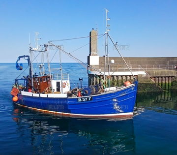 Main picture for advert 146743