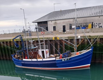 Main picture for advert 146743