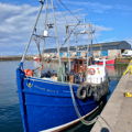 Extra picture for advert 146743
