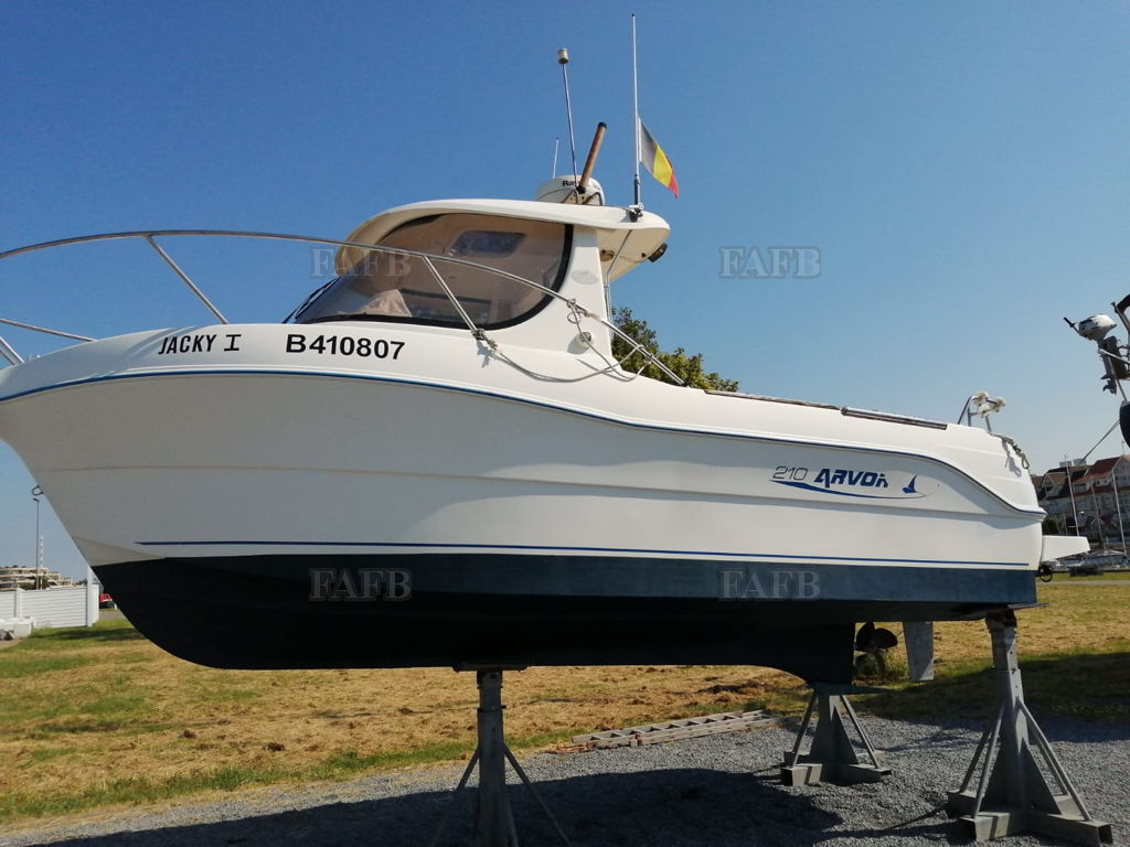 ARVOR 210
