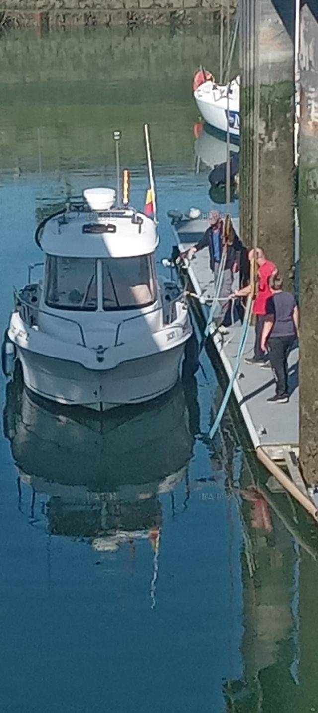 Large picture for advert 143745