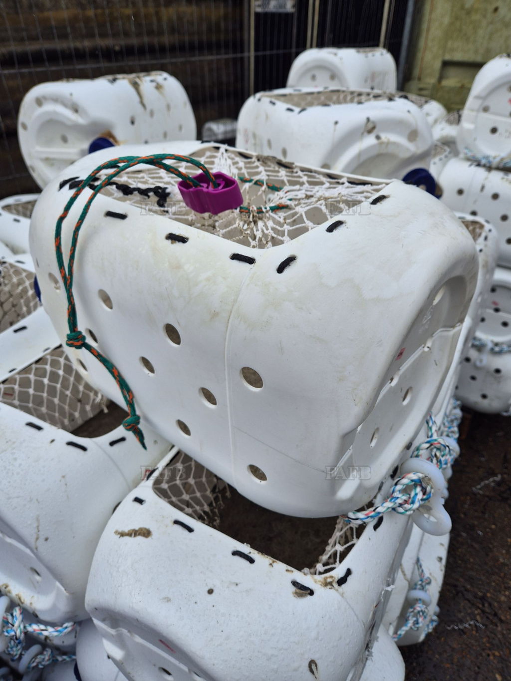 whelk pots