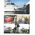 Patrol Boat - picture 3