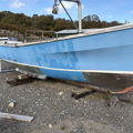 Extra picture for advert 148747