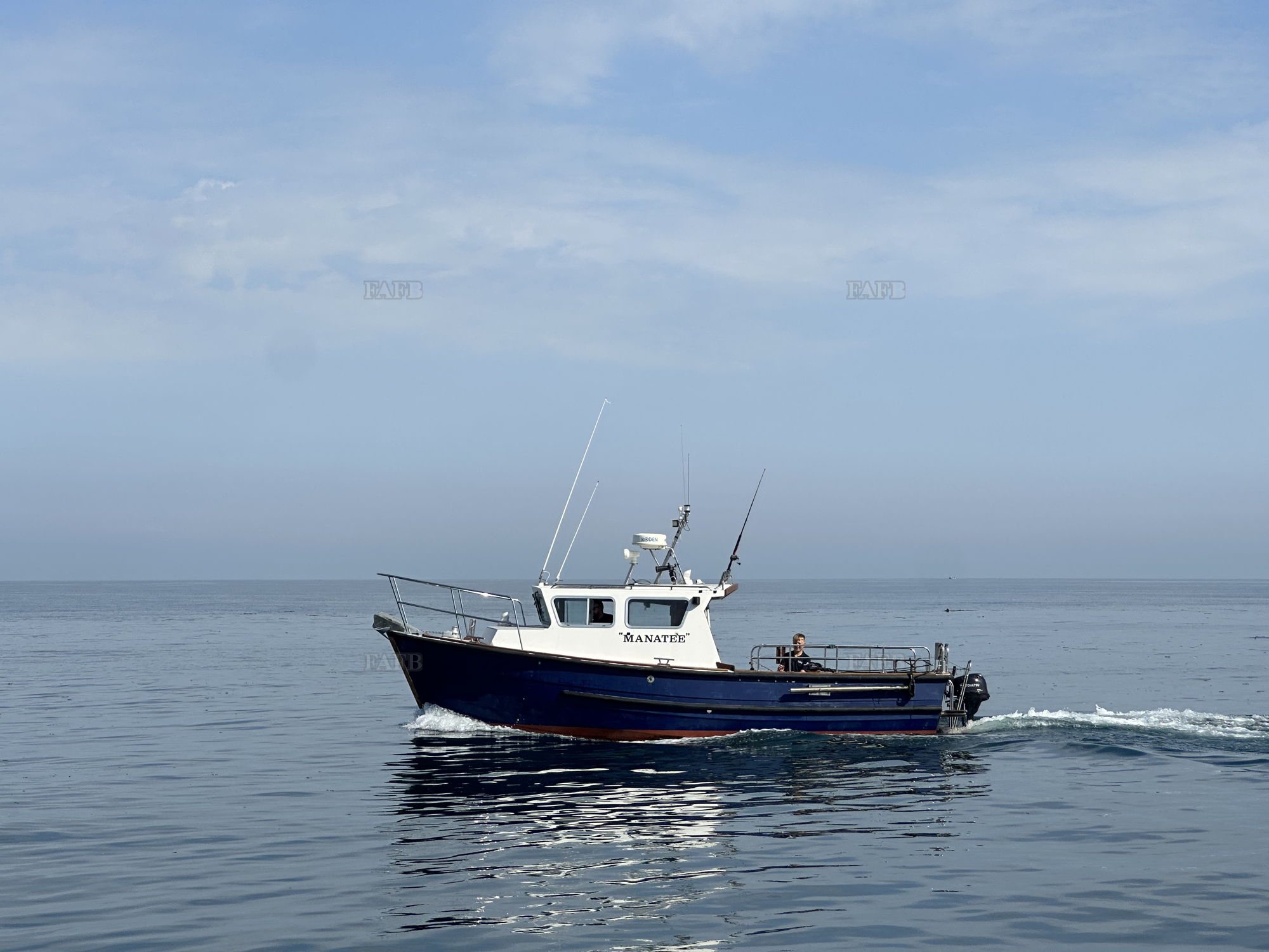 Large picture for advert 147750