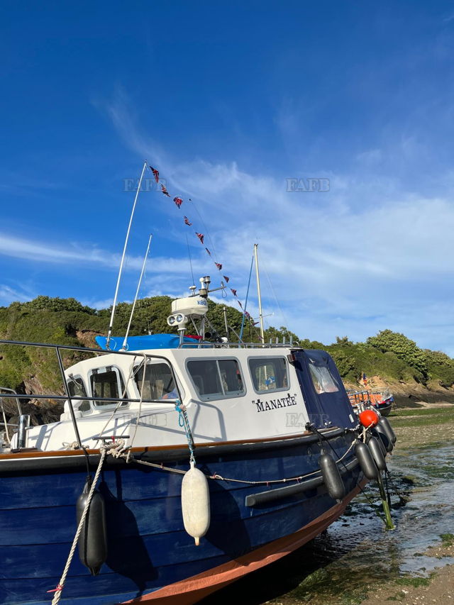 Large picture for advert 147750
