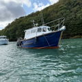 Extra picture for advert 147750
