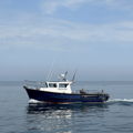 Extra picture for advert 147750