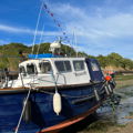 Extra picture for advert 147750