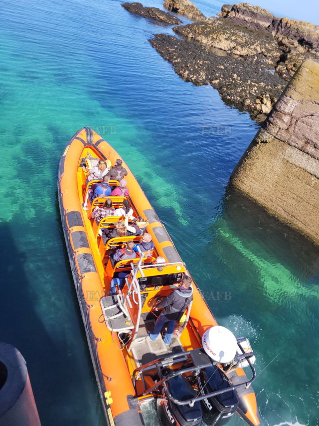 Large picture for advert 141752