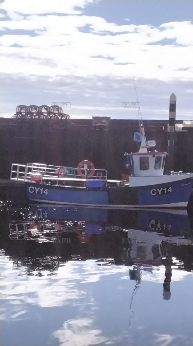 Large picture for advert 143754