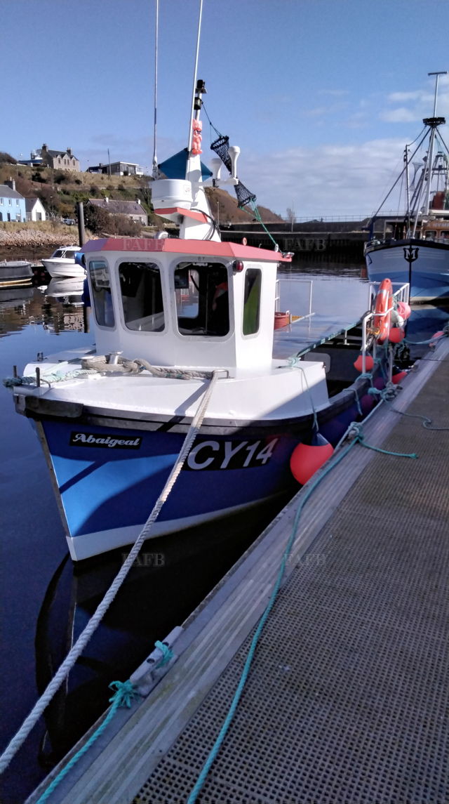 Large picture for advert 143754