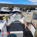 Maritime 21 with licence cat a with shellfish - picture 5