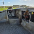 Extra picture for advert 146756