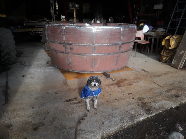 Large picture for advert 101760