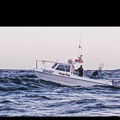 Thumbnail for picture 8