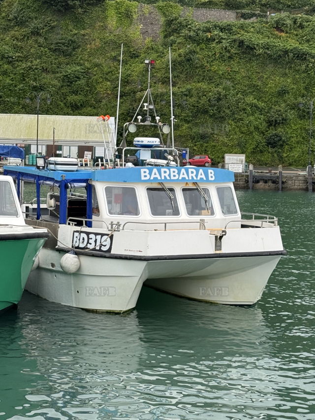 Large picture for advert 142762