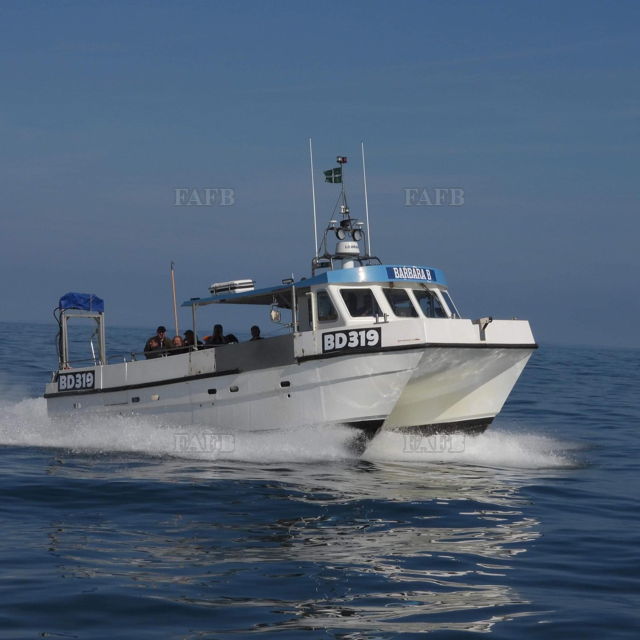 Large picture for advert 142762