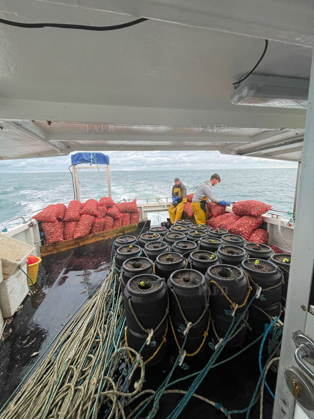 Large picture for advert 142762