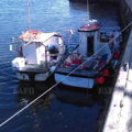 Extra picture for advert 146762